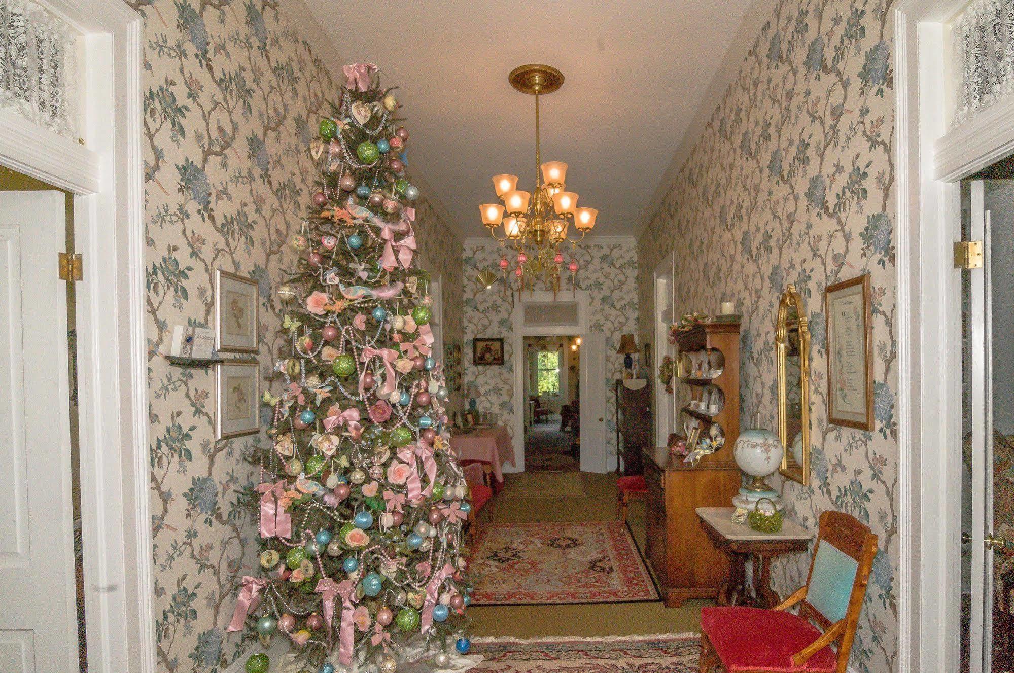 Bed and Breakfast Holly House Of Hamilton Exteriér fotografie
