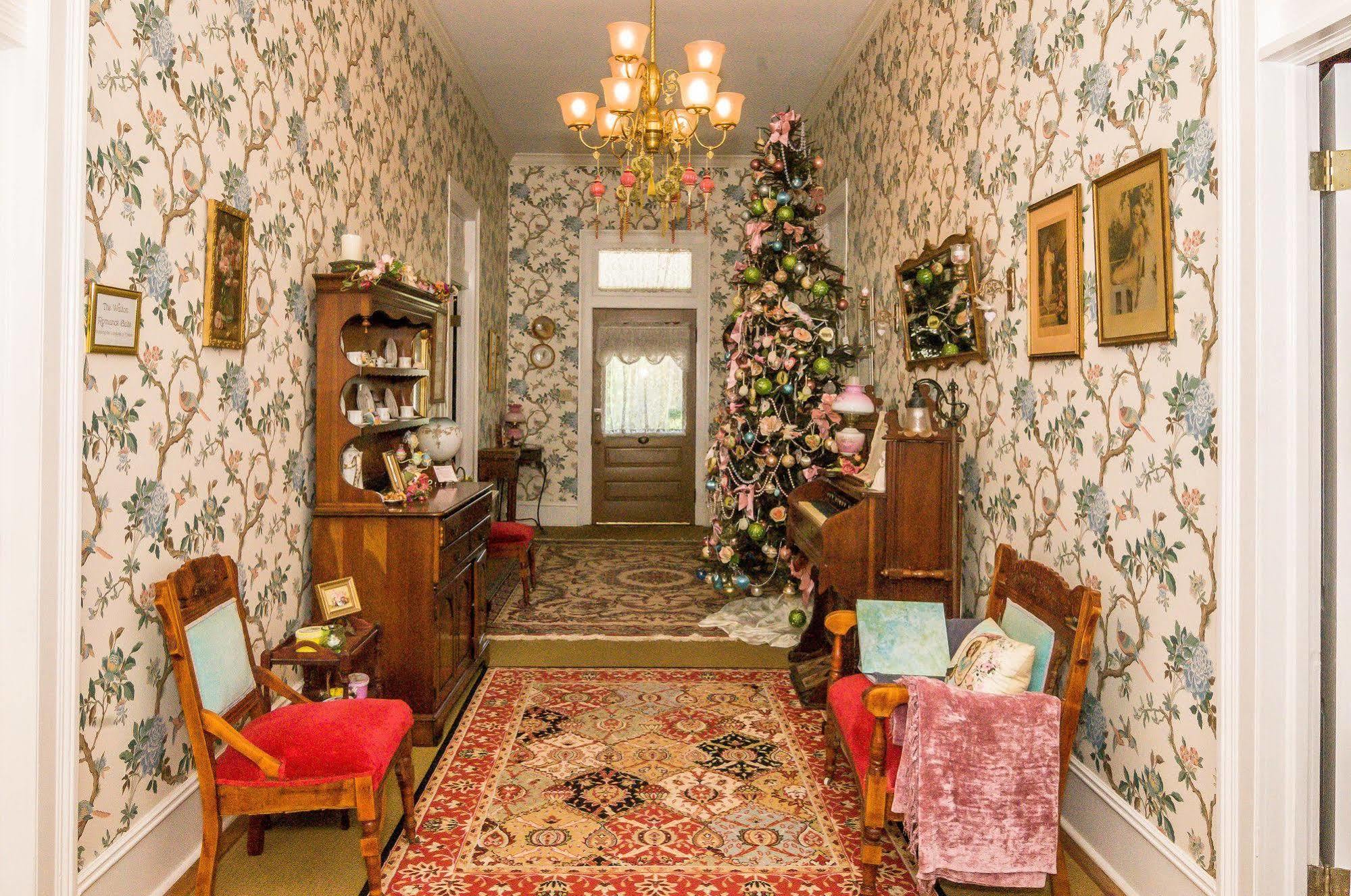 Bed and Breakfast Holly House Of Hamilton Exteriér fotografie